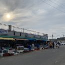 아담수산