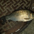 왕숙천 자전거도로8 이미지