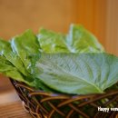 제주도횟집 이미지