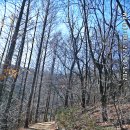 원적산체육공원 이미지