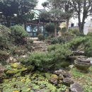 춘향골 추어탕 이미지