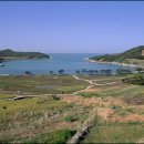 아리랑여인숙 이미지