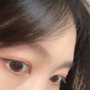 살롱드브로우