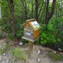 원주굽이길 2코스 700년노송길 이미지