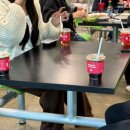 청평사계절펜션 이미지