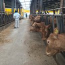 상록축산 이미지