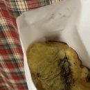 씨피코트 | Adieu 2025 🍾