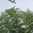 아동상담 이미지