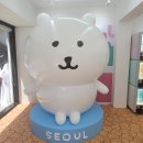 홍대 농담 | 홍대 나가노마켓 팝업스토어 후기(농담곰·치이카와···)