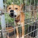 내장농장 이미지