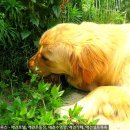 (개인)장기호 이미지