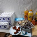 제주 달리 이미지