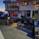 동행 in 협재 이미지