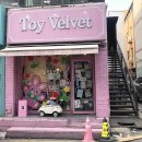 토이 벨벳 티스토리