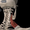 리메디PT 이미지