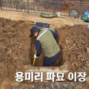 조리읍사무소앞 | 용미리 제1묘지 파묘 업체, 이장 행정절차부터 개장지원금까지 모두 챙겨드렸습니다.