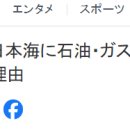 "한국 대통령이 환희했다" 이미지