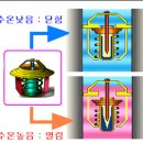 여름철 자동차 냉각수 점검 및 교환 방법 꿀팁 이미지