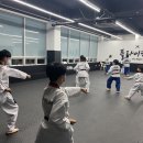 플라이하이태권도 이미지