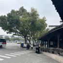 수향 | 상하이 우전 수향마을 투어 후기 :: 예약 | 동책 서책 | 아기랑 | 내돈내산