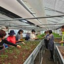 양평군청 별관1층 이미지