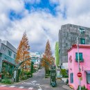 작가의산책길 이미지