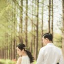미드줄라이 이미지