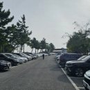 부주산국제파크골프장 이미지
