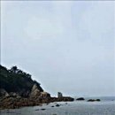 오천초등학교삽시분교장 네이버블로그