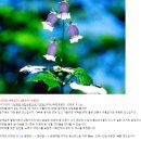 신월우리약국 이미지