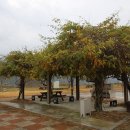 청양동강리오토캠핑장 이미지