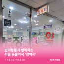 장약국 이미지