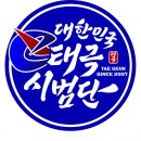 대한민국 태극시범단 이미지