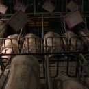 고기취향 이미지