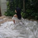 시프헤어 이미지