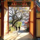 밀양향교작은도서관 이미지