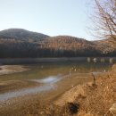 안용주골 이미지