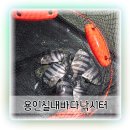 용인실내바다낚시터 | 용인 놀거리 데이트 장소로 딱인 용인실내바다낚시터