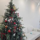 일산로135번길 | 일산 속눈썹펌 잘하는 곳 네일바이무제 후기 영양듬뿍 노글루펌