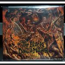 The Black Dahlia Murder - Abysmal 이미지