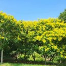 호미산업 이미지