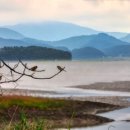 해남공원 앞 이미지