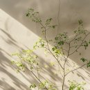 자연인테리어 이미지