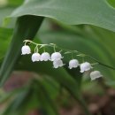 병화 농장 이미지