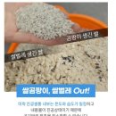 주식회사 서흥 | 미락 진공쌀통 내돈내산 후기! 곰팡이 쌀통 인정~