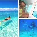 씨 아일랜드 이미지