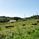 우리들목장 이미지