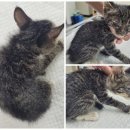 홍산119안전센터 이미지