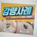 부안한의원 이미지