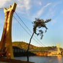 미락장어 이미지